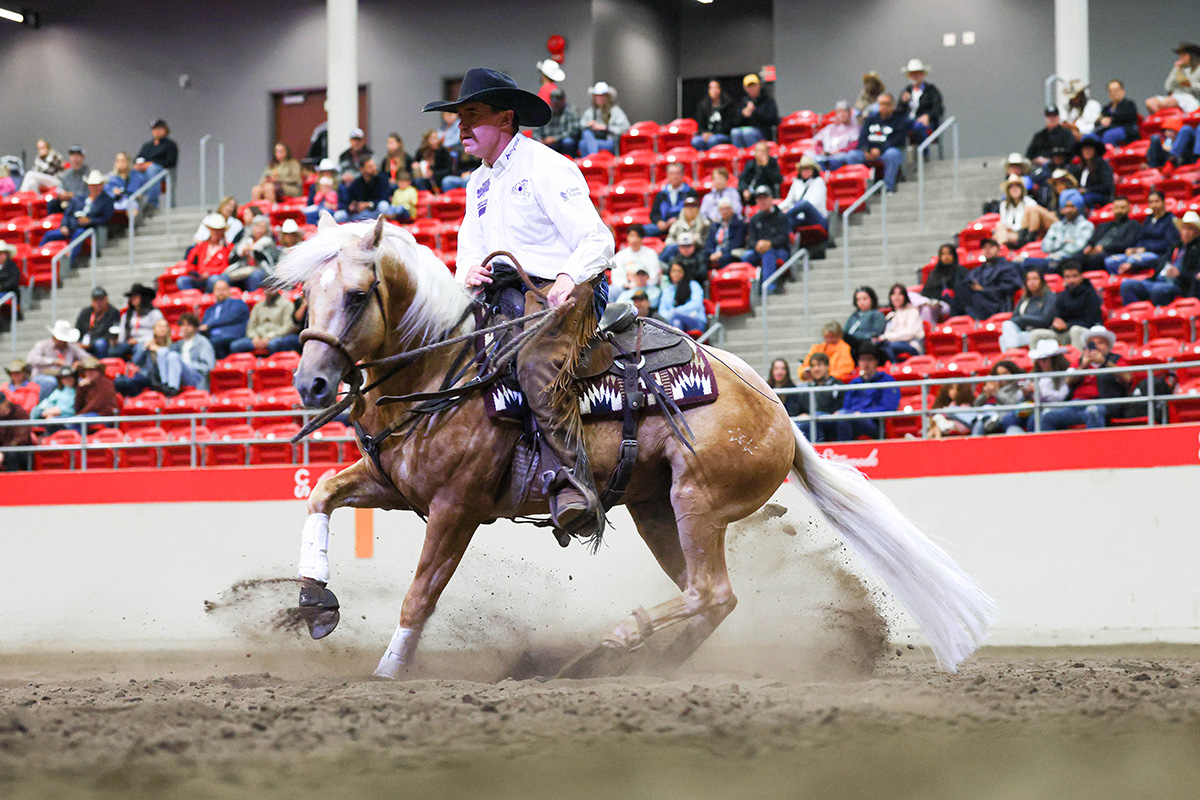 Nine Lives and John Swales competing at the 2025 Calgary Stampede Working Cow Horse Spectacular