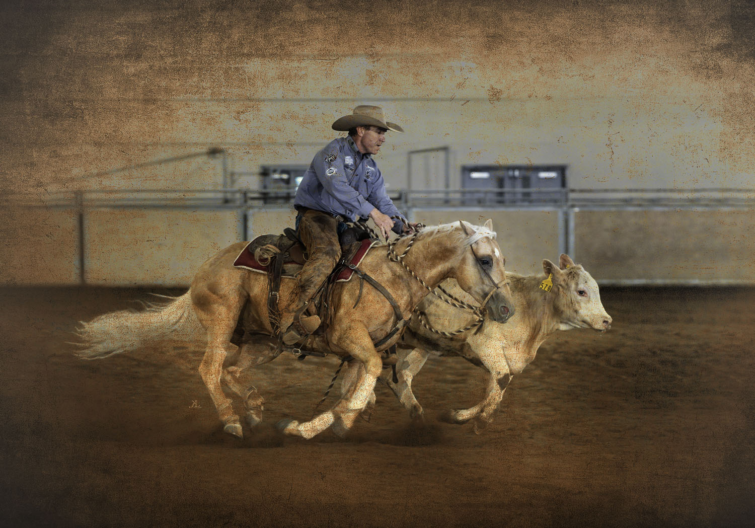 Nine Lives & John Swales circling up